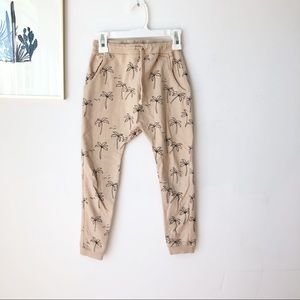 Rylee & Cru Palm tree jogger pant